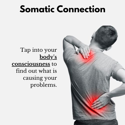 Somatic connection