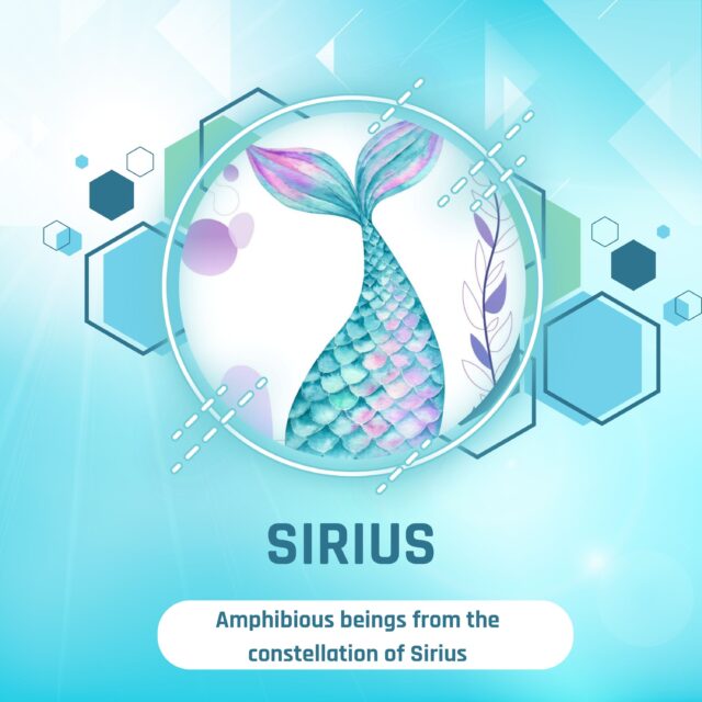 Sirius Beings